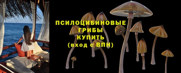 бутират Белоозёрский