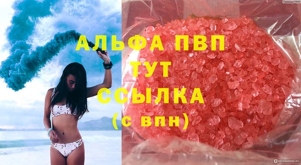 ECSTASY Белокуриха