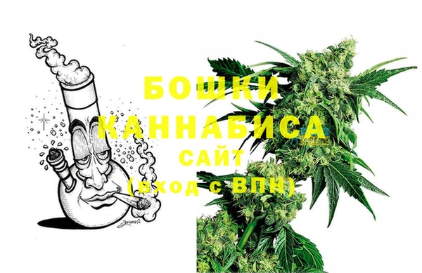 ECSTASY Белокуриха