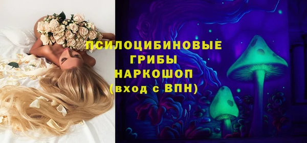 ECSTASY Белокуриха